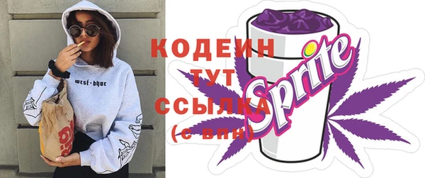 трава Инта