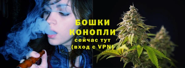 прущие грибы Заволжье