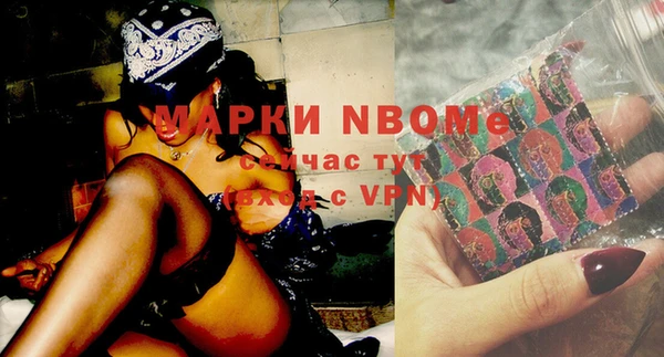 прущие грибы Заволжье