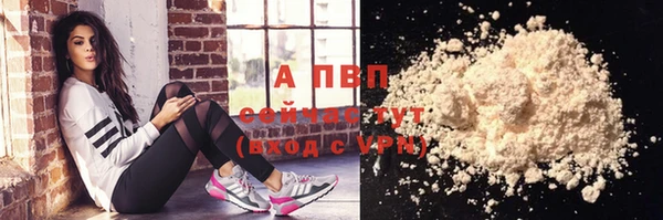 прущие грибы Заволжье