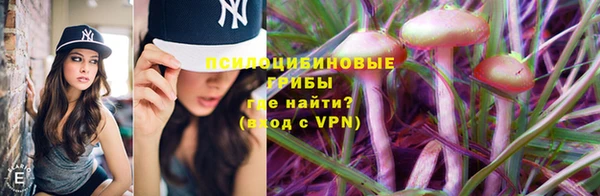 прущая мука Заводоуковск